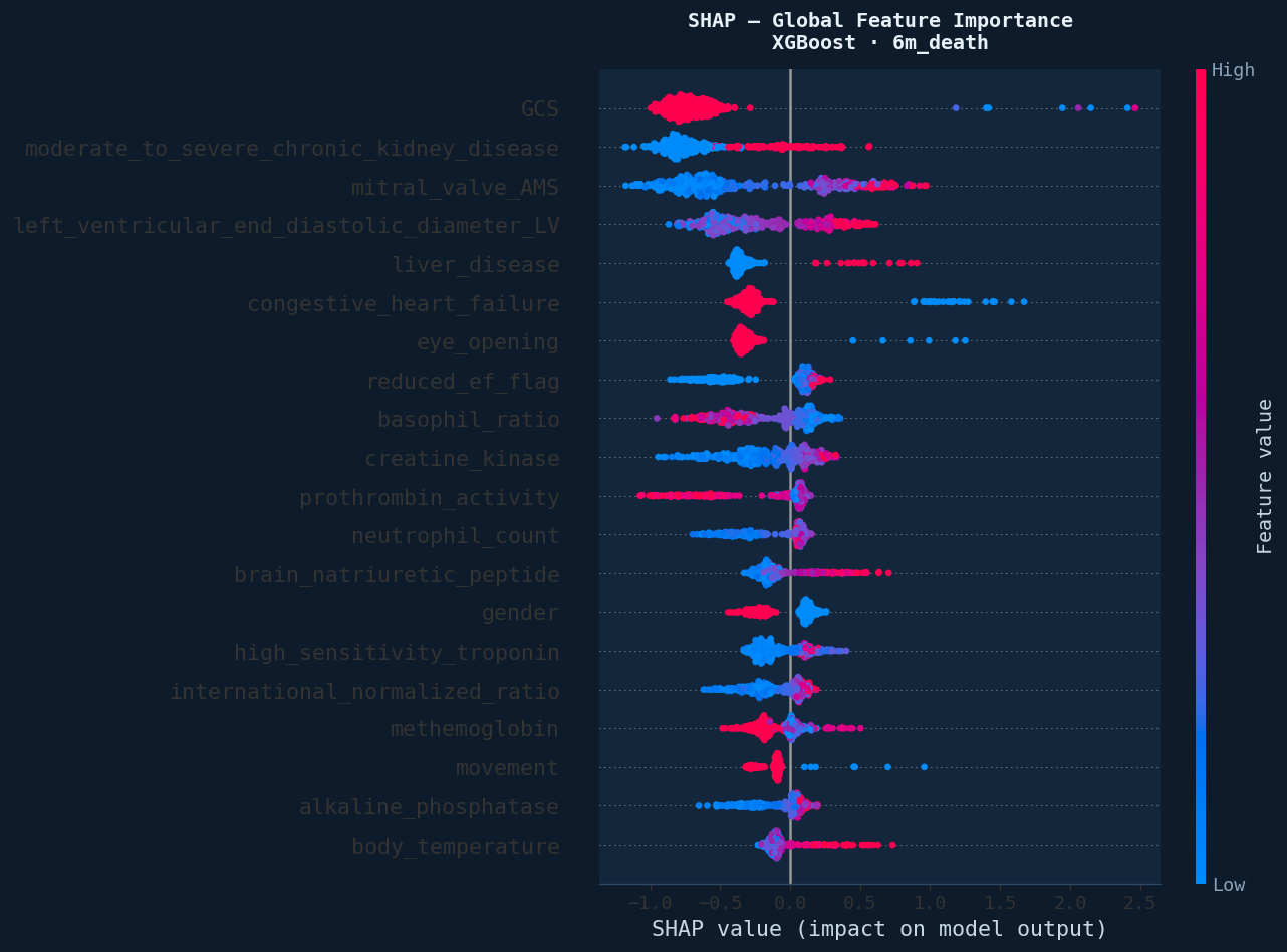 SHAP beeswarm plot for the final 6-month model